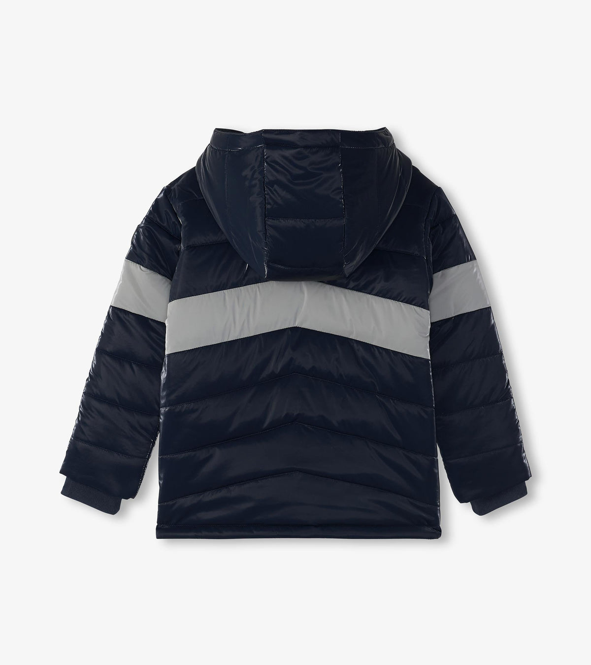 Hatley Boys Shark Skin Puffer Jacket