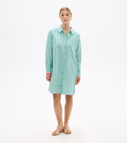 Hatley Julia Shirt Dress - Arcadia Stripes