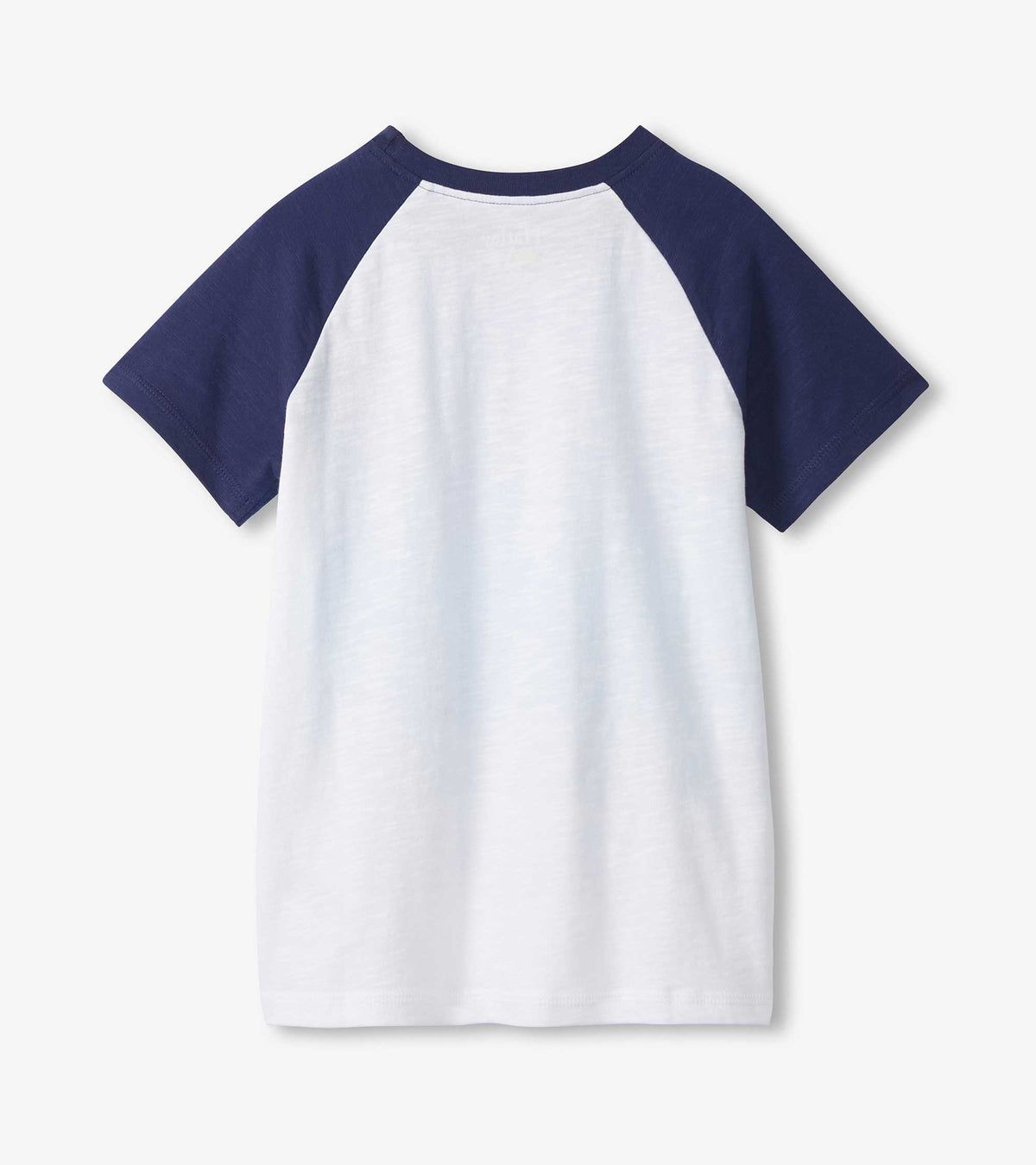 Hatley Boys Fin Stripes Raglan T-Shirt